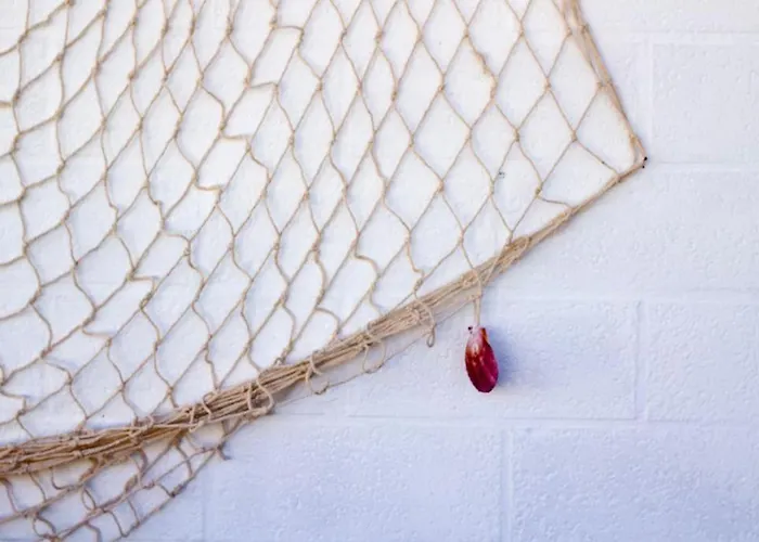 Uno Scorcio Di Blu 公寓 里米尼